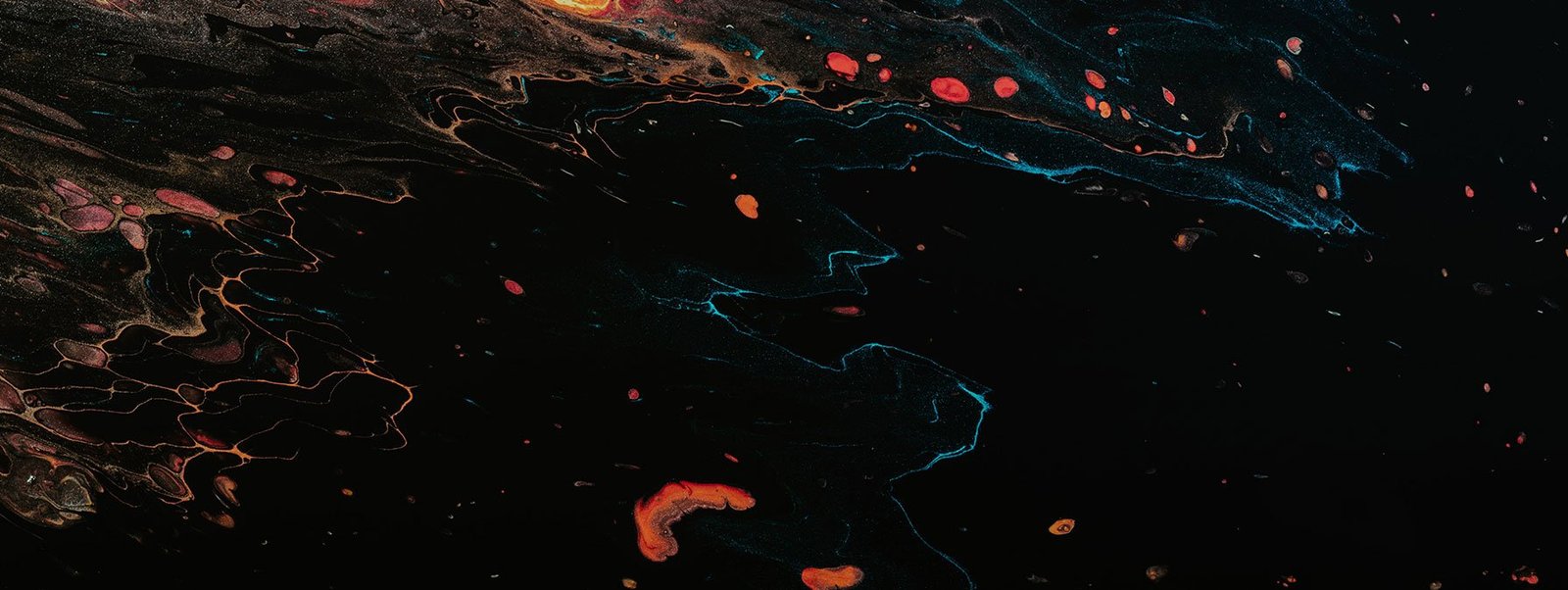 banner-2